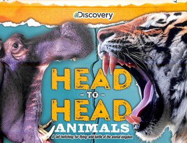 Discover : Head To Head Animals