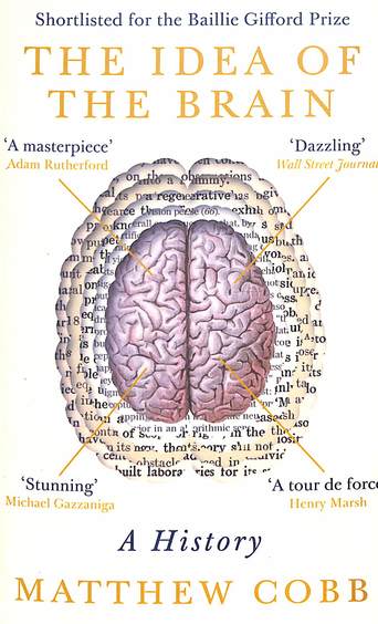 Idea Of The Brain