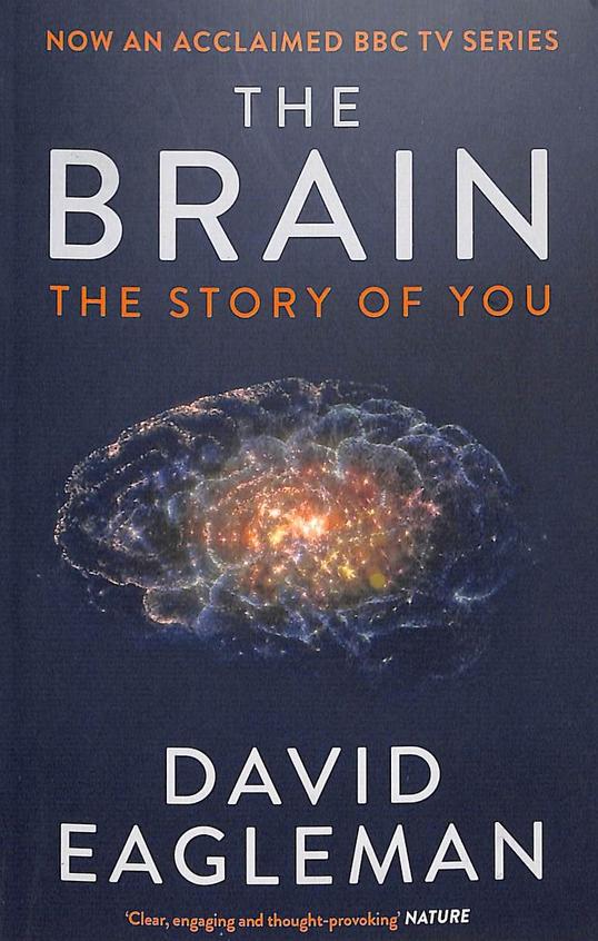 the brain book david eagleman