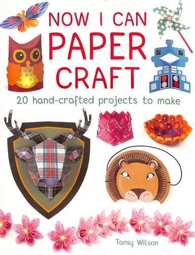 Now I Can Paper Craft : 20 Hand Crafted Projects To Mkae