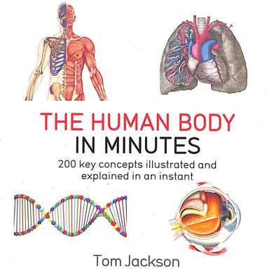 Human Body In Minutes