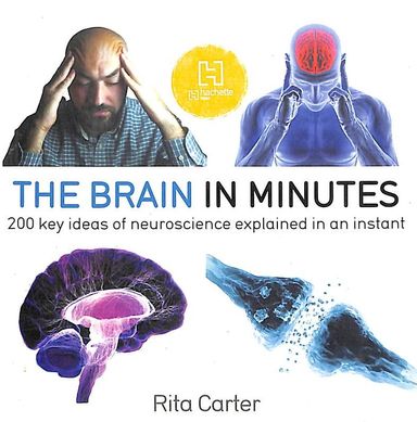 Brain In Minutes