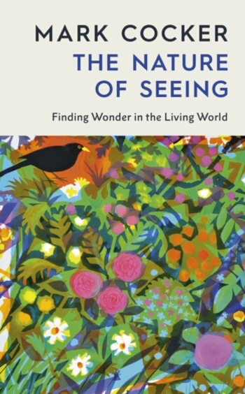 Nature of Seeing
