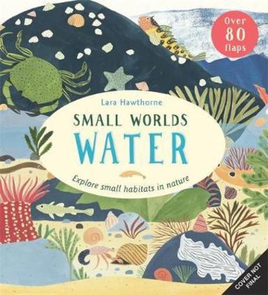 Small Worlds : Water