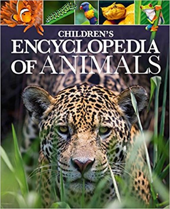 Childrens Encyclopedia Of Animals
