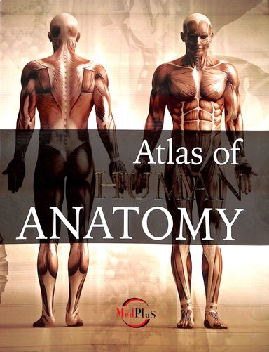 Buy Atlas Of Human Anatomy book : Jordi Vigue , 1788825055
