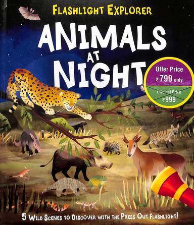 Flashlight Explorer : Animals At Night
