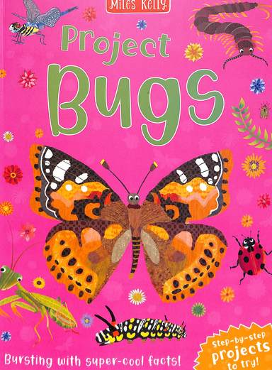 Project Bugs