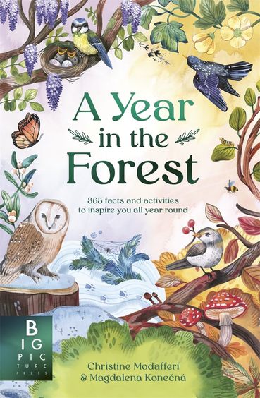 Year In The Forest