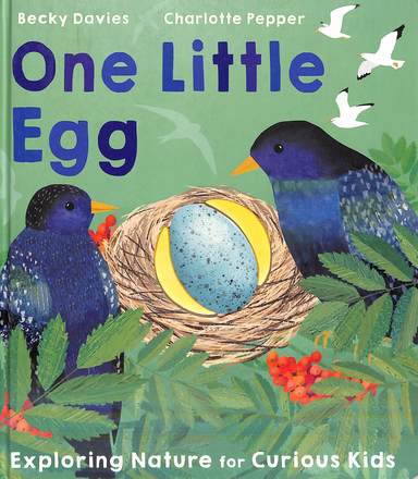 One Little Egg : Exploring Nature For Curious Kids