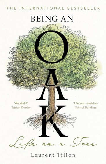 Being an Oak: Life as a tree 