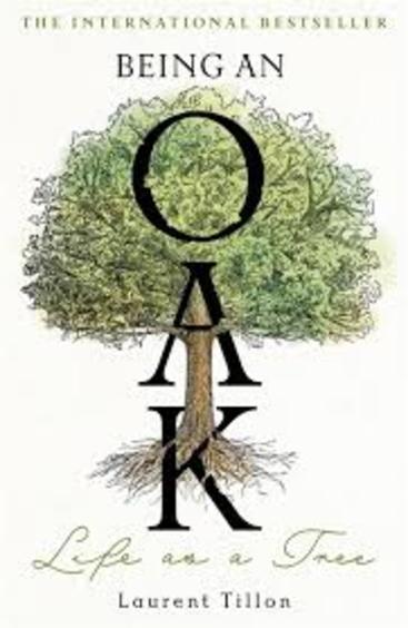 Being An Oak