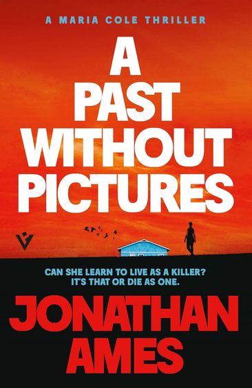 Past Without Pictures