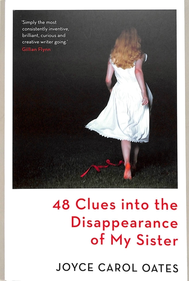 48 Clues Into The Disappearance Of My Sister