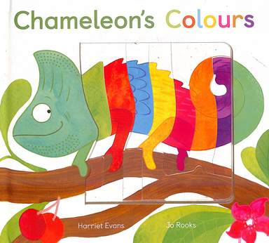 Chameleons Colours
