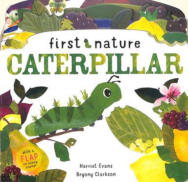 Caterpillar