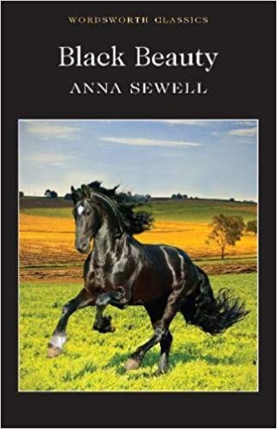 Black Beauty (Wordsworth Classics) 