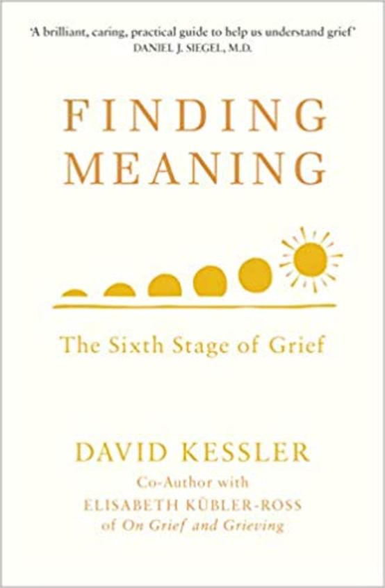 Buy Finding Meaning book David Kessler , 1846046351