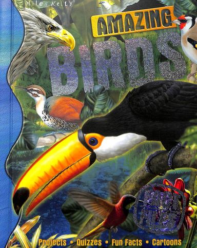 Amazing Birds