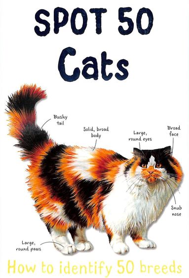 Spot 50 Cats