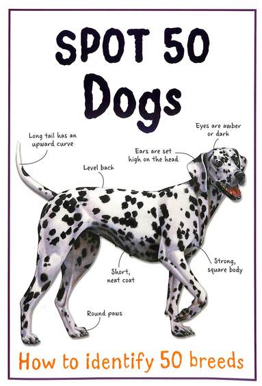 Spot 50 Dogs