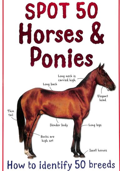 Spot 50 Horses & Ponies