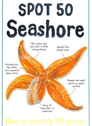Spot 50 Seashore