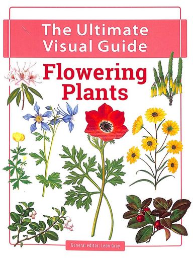 Ultimate Visual Guide : Flowering Plants