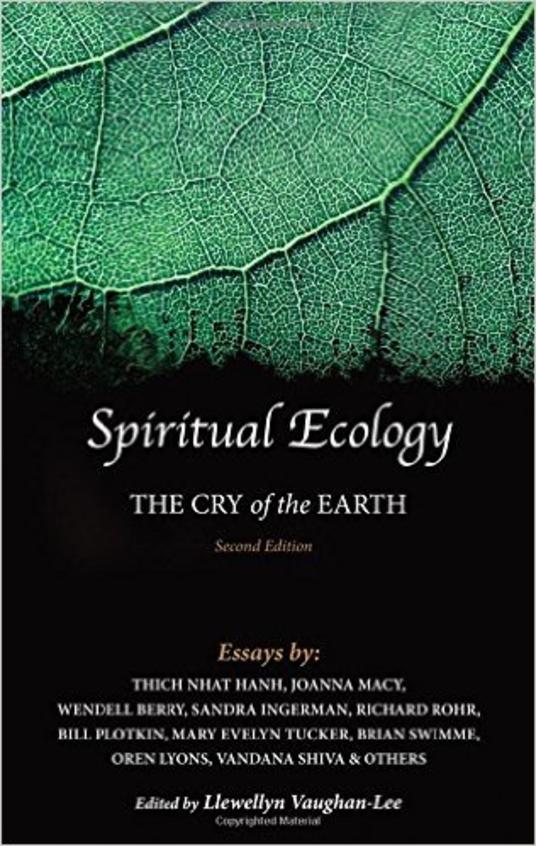 Spiritual Ecology: The Cry of the Earth
