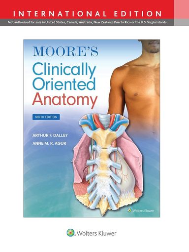 Moores Clinically Oriented Anatomy : International Edition
