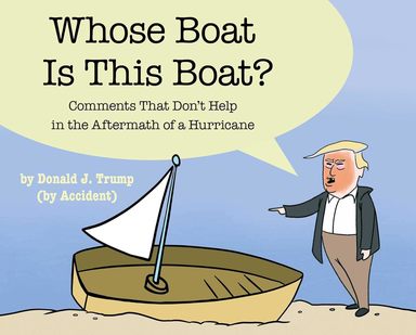 Whose Boat Is This Boat?: Comments That Dont Help in the Aftermath of a Hurricane