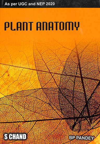 Plant Anatomy