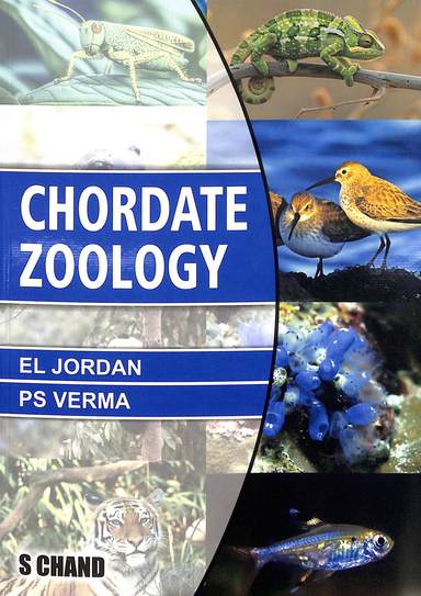 Chordate Zoology