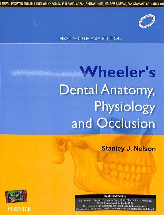 Buy Wheelers Dental Anatomy Physiology & Occlusion book : Stanley J ...