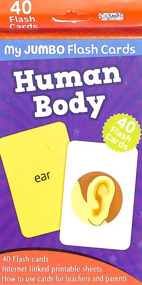 Human Body : 40 Flash Cards Lil Stars