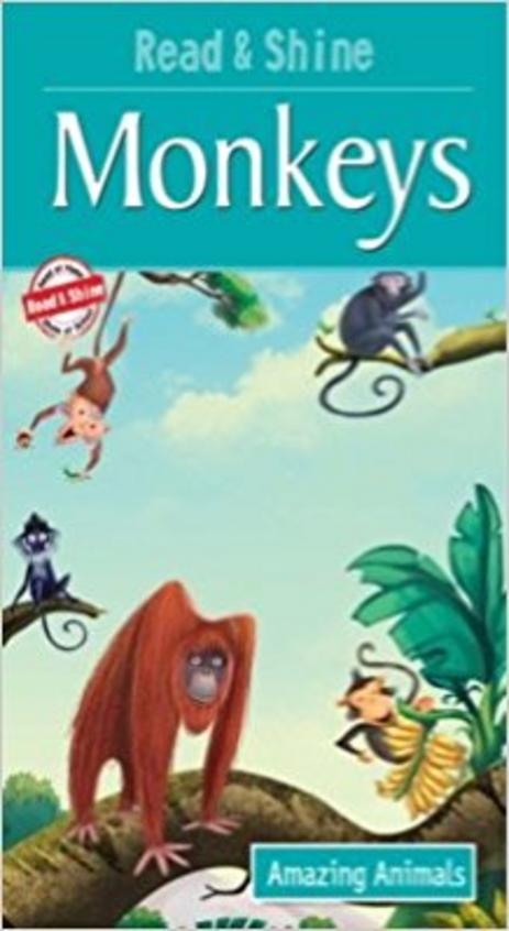 Read and Shine Monkeys