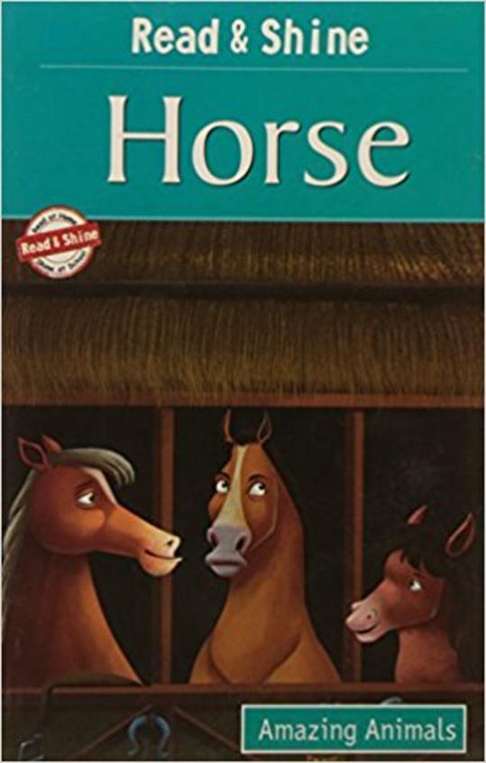 Read and Shine Horse