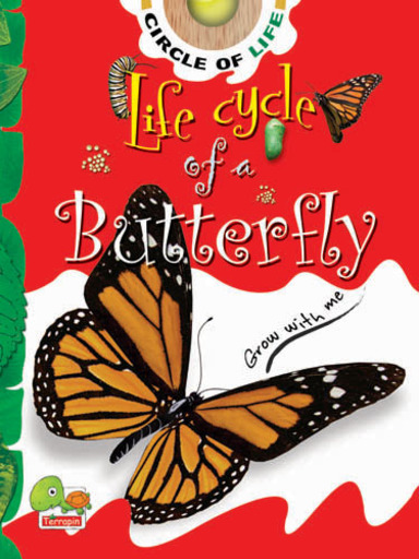 Circle of Life:  Life Cycle of a Butterfly