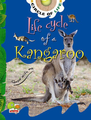 Circle of Life:  Life Cycle of a Kangaroo