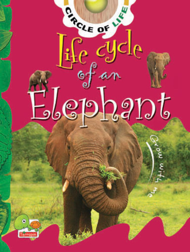 Circle of Life:  Life Cycle of an Elephant