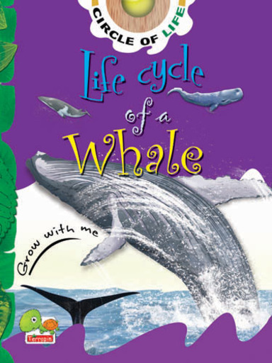 Circle of Life:  Life Cycle of a Whale