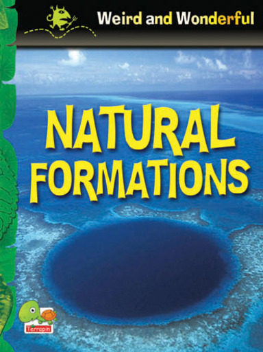 Teri Weird & Wonderful Natual Formation