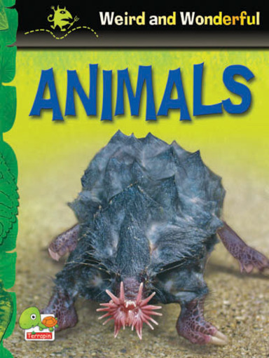 Weird and Wonderful:  Animals