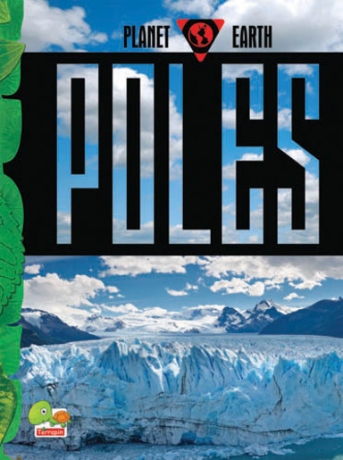 Planet Earth:  Poles