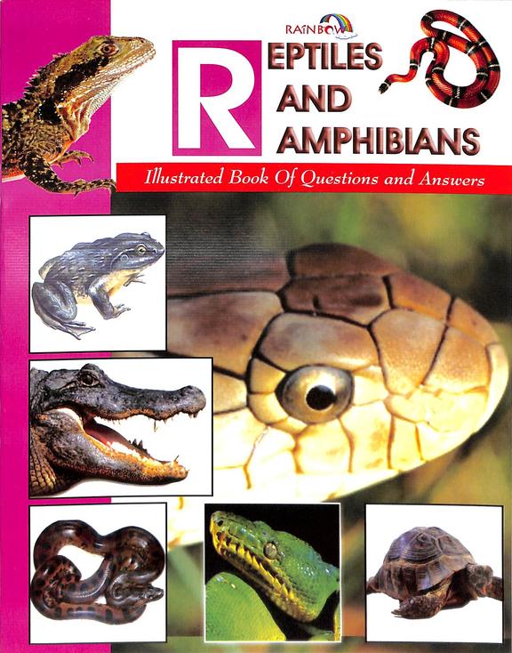 Reptiles & Amphibians Illustrated Book Of Q & A - Rainbow