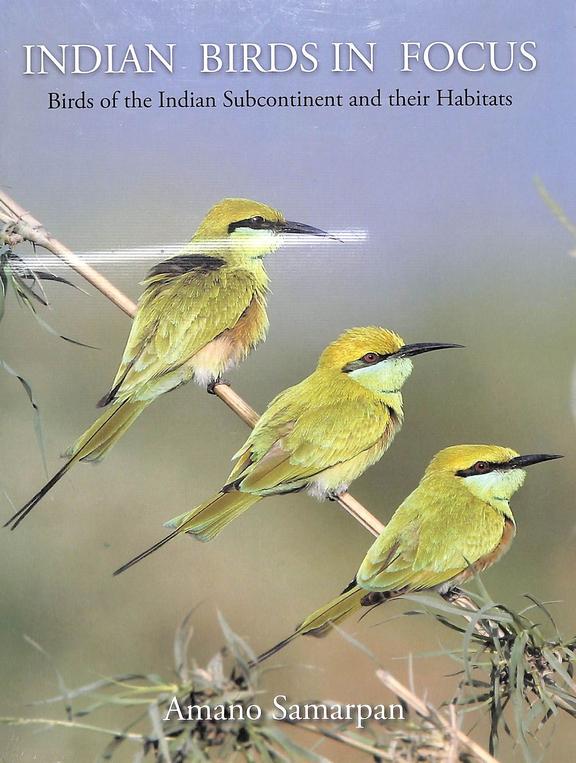Indian Birds In Focus - Birds Of The Indian Subcontinent & Their Habitats
