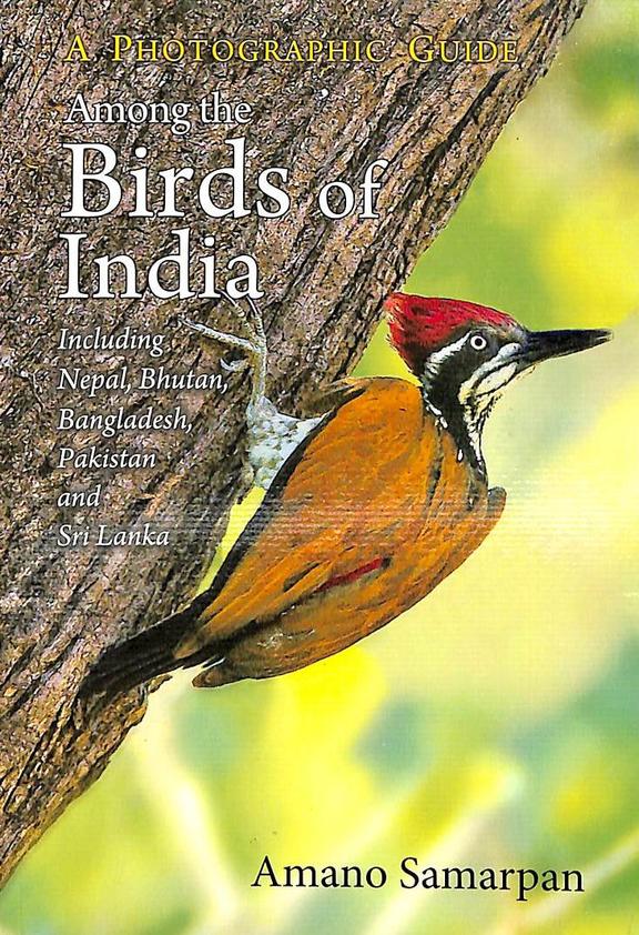 Among The Birds Of India : A Photographic Guide