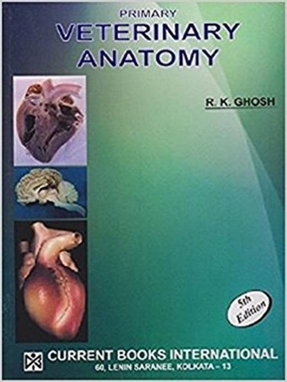 Buy Primary Veterinary Anatomy book Rk Ghosh , 8186793879