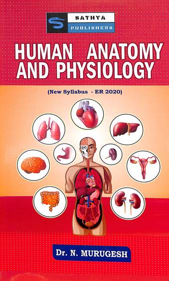 Human Anatomy & Physiology