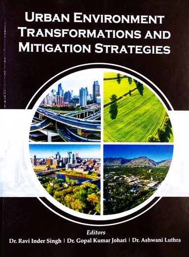 Urban Environment Transformations and Mitigation Strategies